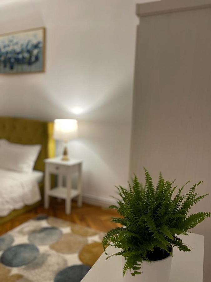 Cityviews Apartment Cluj Ngoại thất bức ảnh