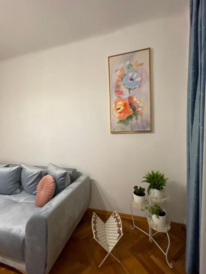 Cityviews Apartment Cluj Ngoại thất bức ảnh