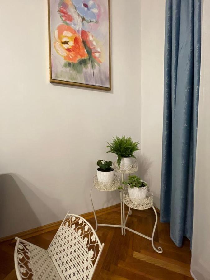 Cityviews Apartment Cluj Ngoại thất bức ảnh