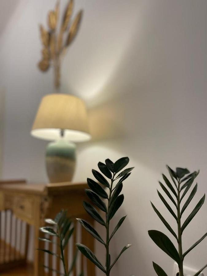Cityviews Apartment Cluj Ngoại thất bức ảnh