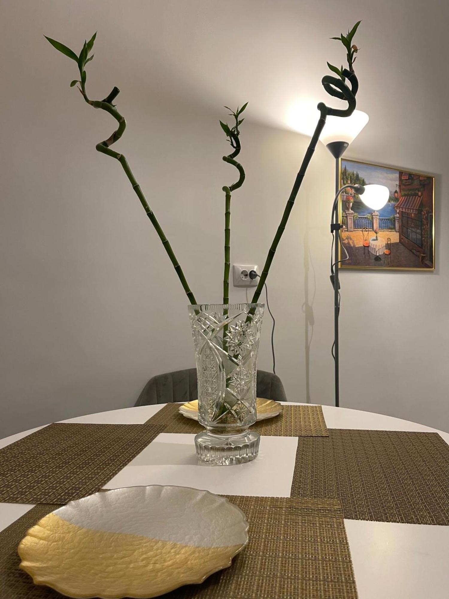 Cityviews Apartment Cluj Ngoại thất bức ảnh